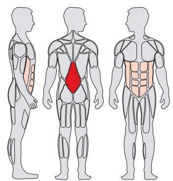 CYBEX INTERNATIONAL 13200 AB-BACK - Instructions - 1