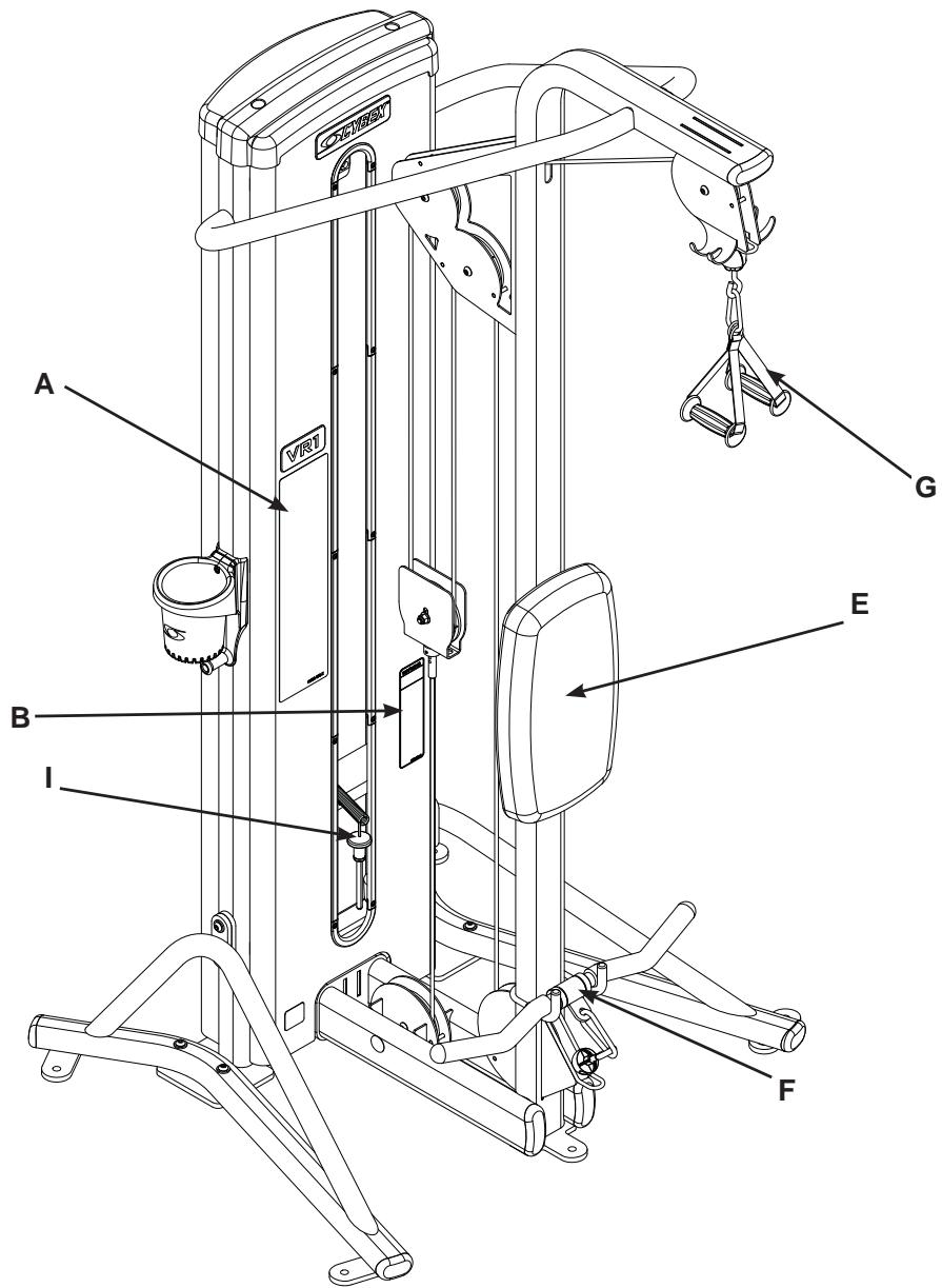 CYBEX INTERNATIONAL 13230 TRICEP-BICEP - BICEPS/TRICEPS - 1