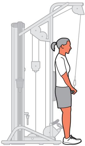 CYBEX INTERNATIONAL 13230 TRICEP-BICEP - Instructions - 7