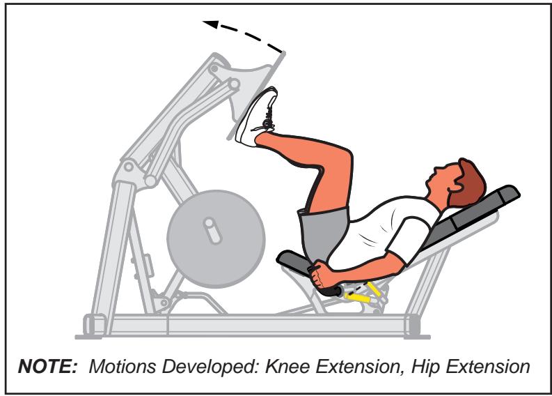 CYBEX INTERNATIONAL 16150 SQUAT PRESS - Instructions - 2