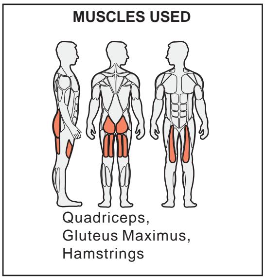 CYBEX INTERNATIONAL 16150 SQUAT PRESS - Instructions - 1