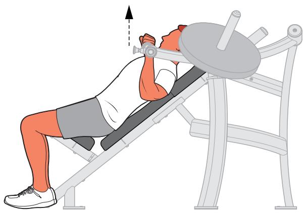CYBEX INTERNATIONAL 16190 INCLINE PRESS - Instructions - 2