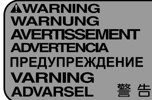CYBEX INTERNATIONAL 425T TREADMILL - SERIOUS INJURY COULD OCCUR IF THESE PRECAUTIONS ARE NOT OBSERVED - 2