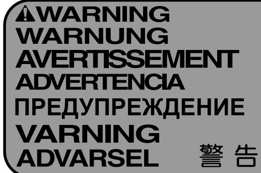 CYBEX INTERNATIONAL 445T TREADMILL - SERIOUS INJURY COULD OCCUR IF THESE PRECAUTIONS ARE NOT OBSERVED - 2