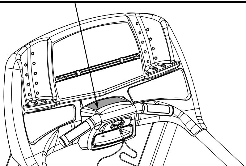 CYBEX INTERNATIONAL 445T TREADMILL - SERIOUS INJURY COULD OCCUR IF THESE PRECAUTIONS ARE NOT OBSERVED - 1