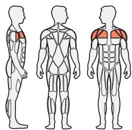 CYBEX INTERNATIONAL FT 325 - CAUTION: - 4