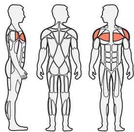 CYBEX INTERNATIONAL FT 325 - CAUTION: - 2