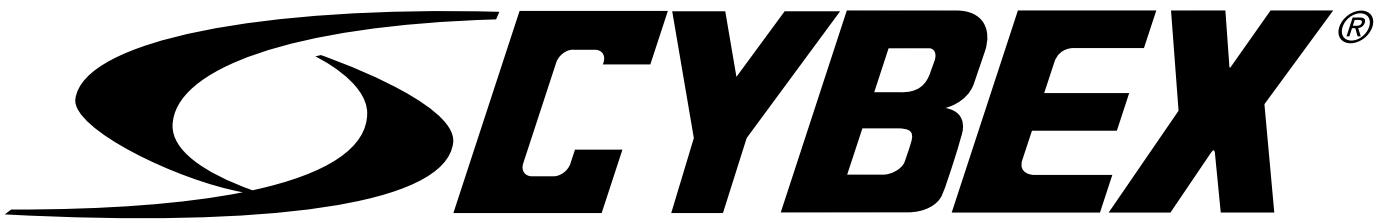 CYBEX INTERNATIONAL PRO3 (550T) TREADMILL - 1