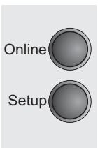 TALLYGENICOM LA550N - Selecting interface timeout (Timeout) - 4
