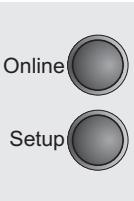 TALLYGENICOM LA550N - Setting the EPSON Mode (EPSMode) - 2
