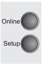 TALLYGENICOM LA550N - Reset to default values (Reset) - 4