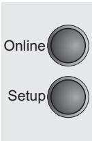 TALLYGENICOM LA550N - Horizontal pitch on Compress (IBMComp) - 4