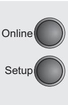 TALLYGENICOM LA550N - Setting the IBM mode (IBMMode) - 2