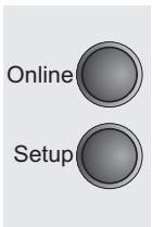 TALLYGENICOM LA550N - Selecting Protocol (emulation) - 5