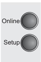 TALLYGENICOM LA550N - Selecting interface timeout (Timeout) - 2