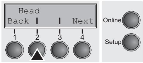 TALLYGENICOM LA550W - Print head gap manually (Head) - 1