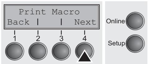 TALLYGENICOM LA650 PLUS - Selecting the LC display language - 3