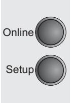 TALLYGENICOM LA650 PLUS - Setting Subnet mask (Subnet) - 6