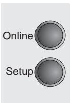 TALLYGENICOM LA800 PLUS - Selecting the LC display language - 9
