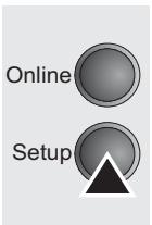 TALLYGENICOM LA800 PLUS - Selecting the LC display language - 2
