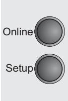 TALLYGENICOM LA800 PLUS - Setting Subnet mask (Subnet) - 6