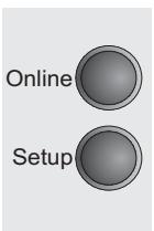 TALLYGENICOM LA800 PLUS - Selecting the LC display language - 4
