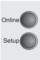 TALLYGENICOM LA800 PLUS - Setup mode - 2