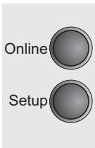 TALLYGENICOM LA800 PLUS - Horizontal pitch on Compress (IBMComp) - 2