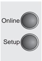 TALLYGENICOM LA800 PLUS - Selecting the LC display language - 13
