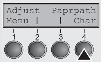 TALLYGENICOM LA800 PLUS - Selecting character density and font (temporarily) - 1