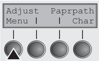 TALLYGENICOM LA800 PLUS - Selecting the LC display language - 3
