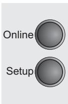 TALLYGENICOM LA800 PLUS - Setting Subnet mask (Subnet) - 4
