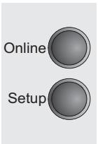 TALLYGENICOM LA800 PLUS - Selecting the LC display language - 7