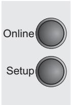 TALLYGENICOM LA800 PLUS - Setting the EPSON Mode (EPSMode) - 2