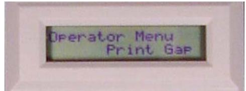 TALLYGENICOM 2900 - Print Gap Category - 1