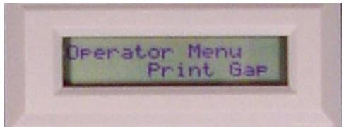 TALLYGENICOM 6300 - Print Gap Category - 1