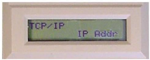 TALLYGENICOM 6300 - IP Addr Category - 1
