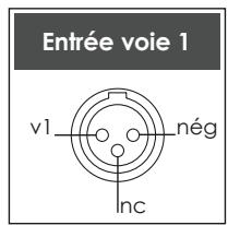 NAIM1 NA-C 152 XS - Raccordements entre le NAP 500 et le NAP 500PS - 2