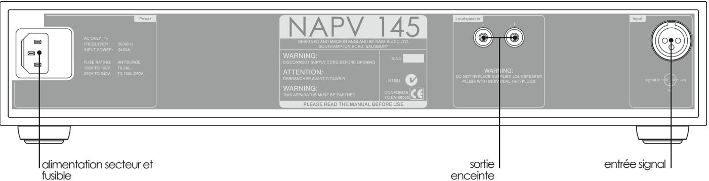 NAIM1 NA-IT XS - Câbles et prises d'enceintes - 1