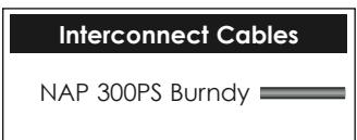 NAIM1 NA-P V145 - NAP 300 Connected to NAP 300PS - 5