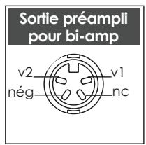 NAIM1 SUPERNAIT - Commandes et Raccordements du Supernait - 6