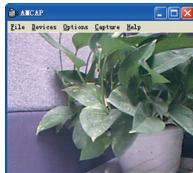 DICOTA CONTACT - Image-preview - 3