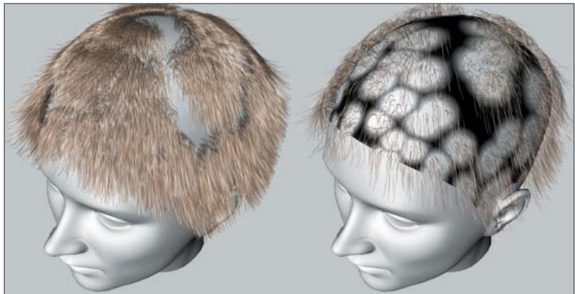 MAXON CINEMA 4D - Densité - 1