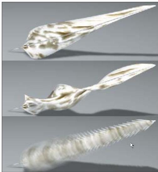 MAXON CINEMA 4D - Rayon de rachis - 4