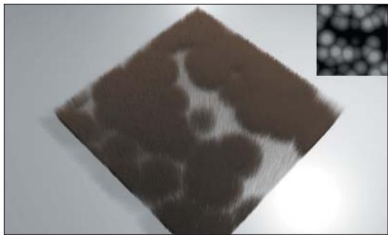 MAXON CINEMA 4D - Texture - 1