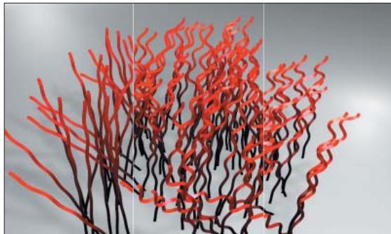 MAXON CINEMA 4D - Vagues / variation - 1