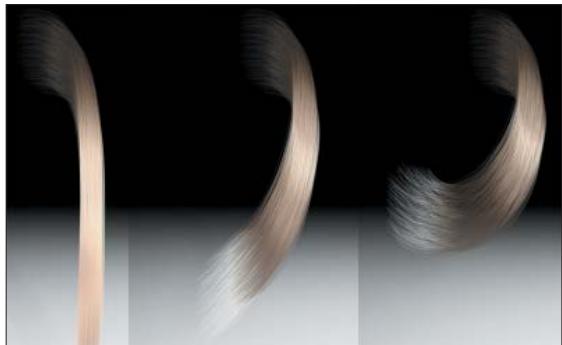 MAXON CINEMA 4D - Boucler - 1