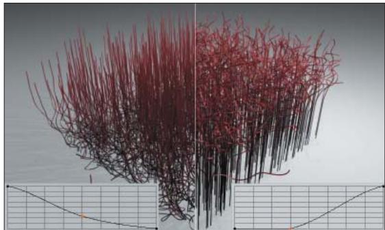 MAXON CINEMA 4D - Friser - 4