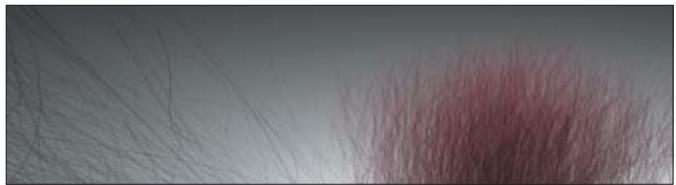 MAXON CINEMA 4D - Masque d'ombres - 2