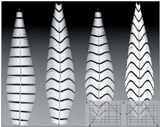 MAXON CINEMA 4D - Rayon de rachis - 2